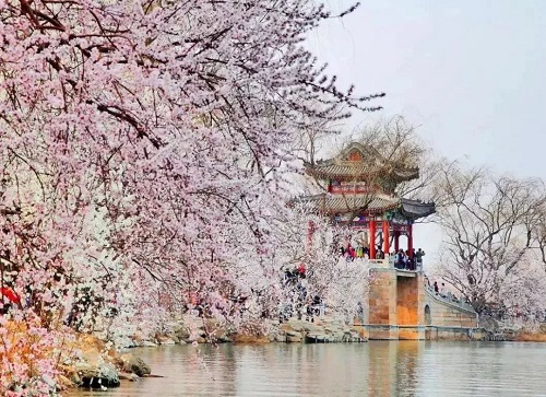 微信图片_20190327101449.jpg