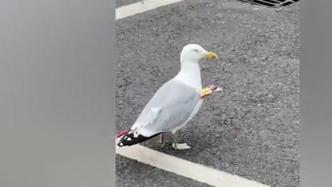 点击进入下一页