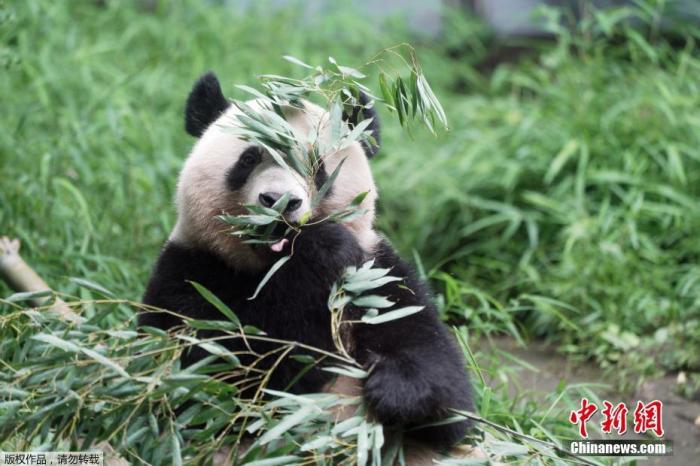点击进入下一页