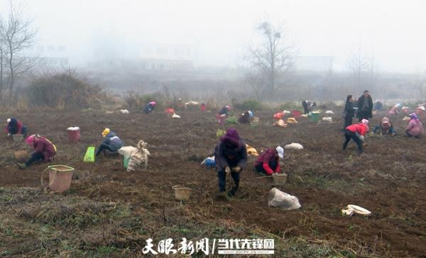 奋斗百年路 启航新征程丨赫章县铁匠乡：一个极贫乡镇的逆势突围