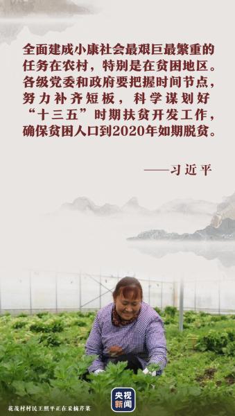 庄严承诺丨脱贫攻坚最后时刻的响鼓重锤