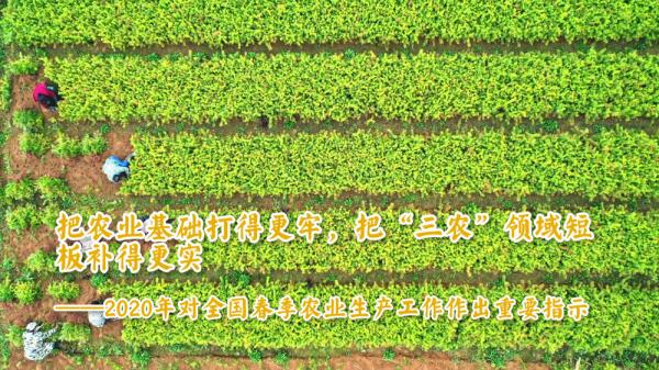 自习课 | 习近平：天道酬勤 力耕不欺