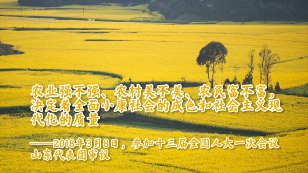 自习课 | 习近平：天道酬勤 力耕不欺