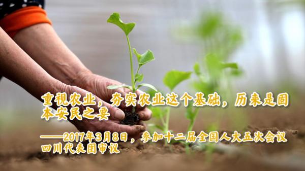 自习课 | 习近平：天道酬勤 力耕不欺