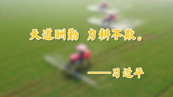 自习课 | 习近平：天道酬勤 力耕不欺
