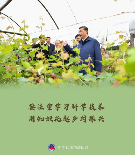 让人民生活幸福是“国之大者”——习近平赴广西考察调研金句来了！