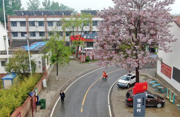 新思想引领新征程·红色足迹｜焦桐常青，精神永存——习近平总书记到过的红色圣地之河南篇