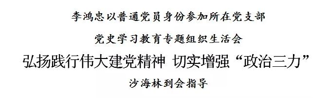 李鸿忠以普通党员身份参加所在党支部党史学习教育专题组织生活会