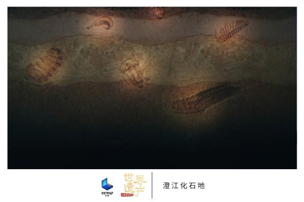 带你“云打卡”中国的世界遗产