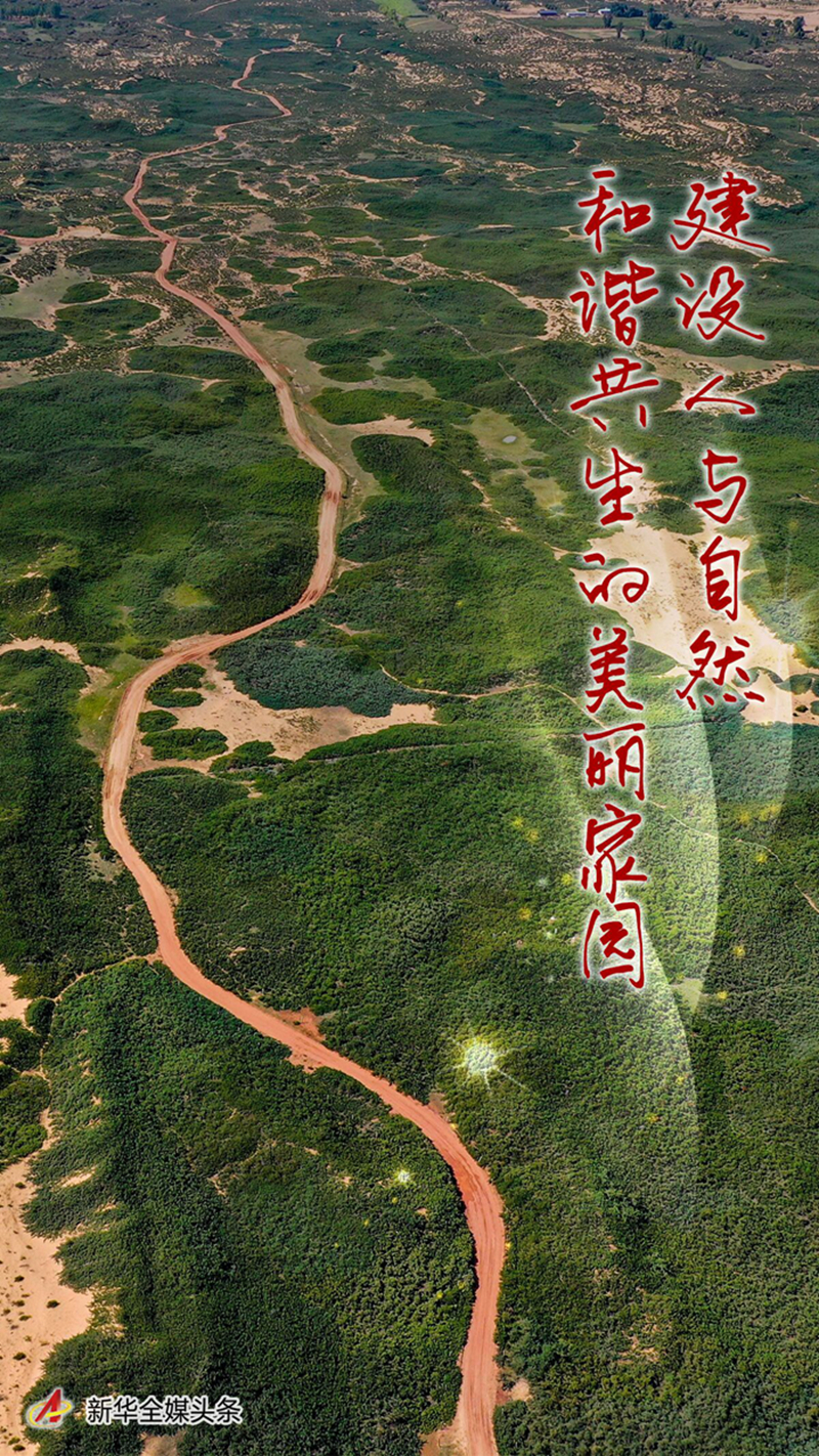 建设人与自然和谐共生的美丽家园——习近平生态文明思想基层生动实践新观察
