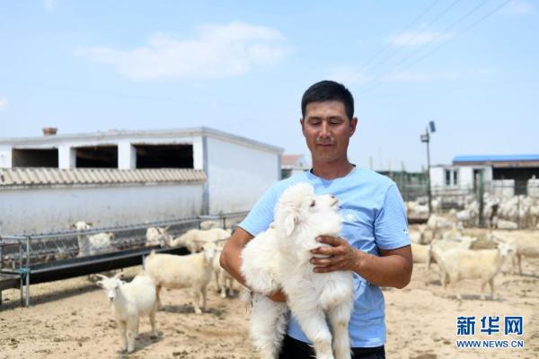 建设人与自然和谐共生的美丽家园——习近平生态文明思想基层生动实践新观察