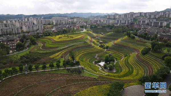 热血为时代澎湃 党旗飘扬下的“青春中国”