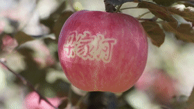 新华全媒+｜小康之道 一个都不能少
