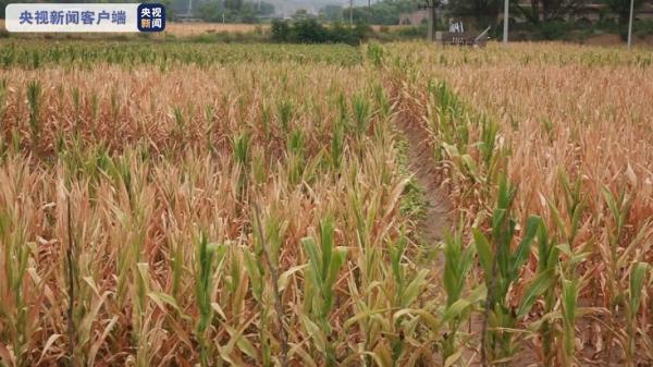 8万余人安全饮水受影响 黄河陕西榆林境内部分支流断流