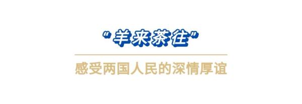 第一报道 | 习主席提到中蒙“更好的明天”，如今正这样实现