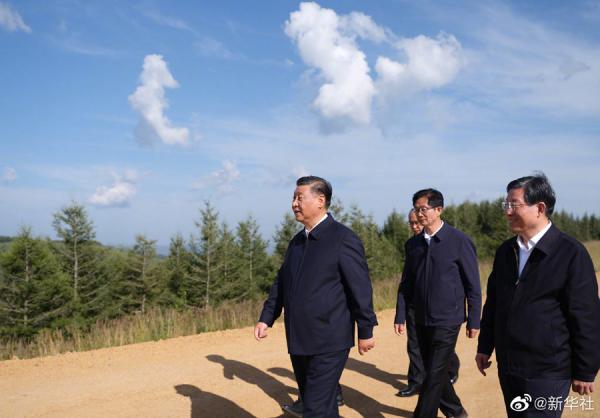 学习进行时|塞罕坝，习近平为何如此关注