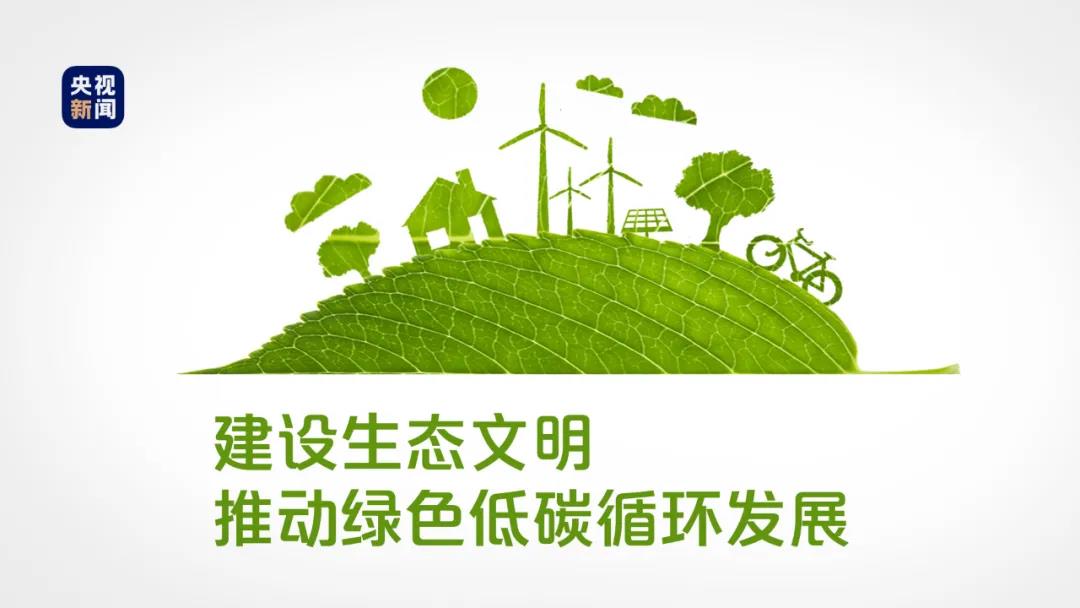 低碳行动塑造“高能”未来