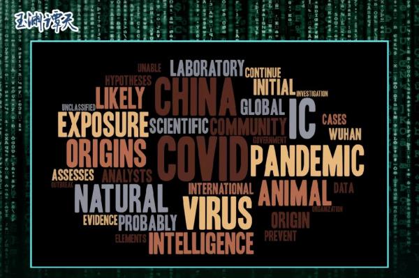 溯源美国丨揭开虚伪报告背后的真相