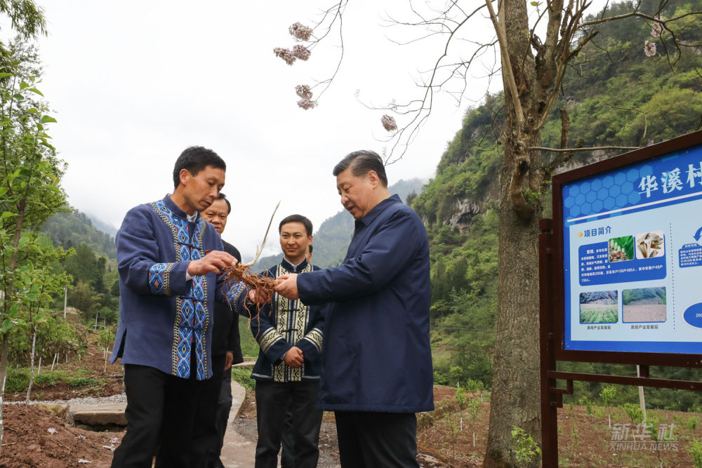 镜观·领航丨总书记的民族情