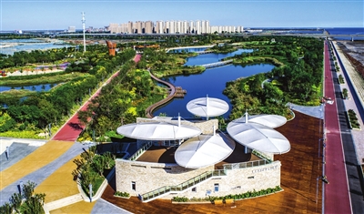 天津全面完成渤海综合治理攻坚战各项目标任务：重现一片碧海蓝湾