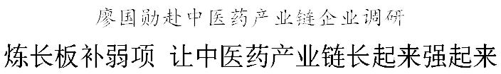 廖国勋：炼长板补弱项 让中医药产业链长起来强起来