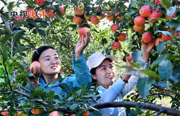 【央视快评】解放思想 改革创新 再接再厉