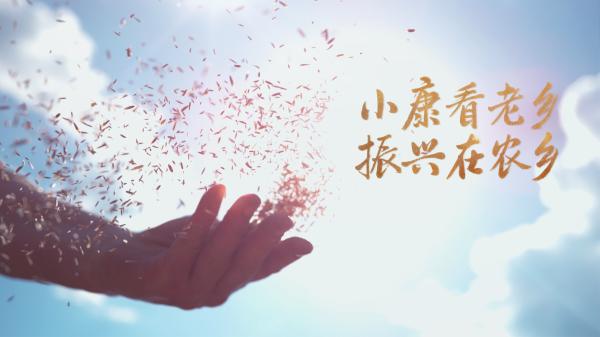 丰收，从哪里开始？