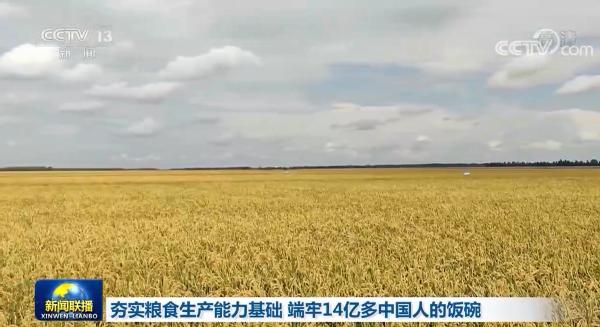 【在习近平新时代中国特色社会主义思想指引下】夯实粮食生产能力基础 端牢14亿多中国人的饭碗