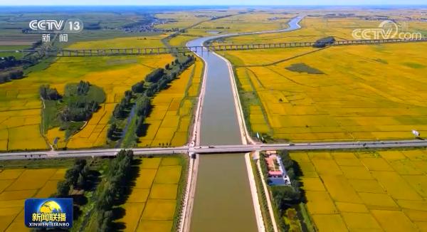 【在习近平新时代中国特色社会主义思想指引下】夯实粮食生产能力基础 端牢14亿多中国人的饭碗