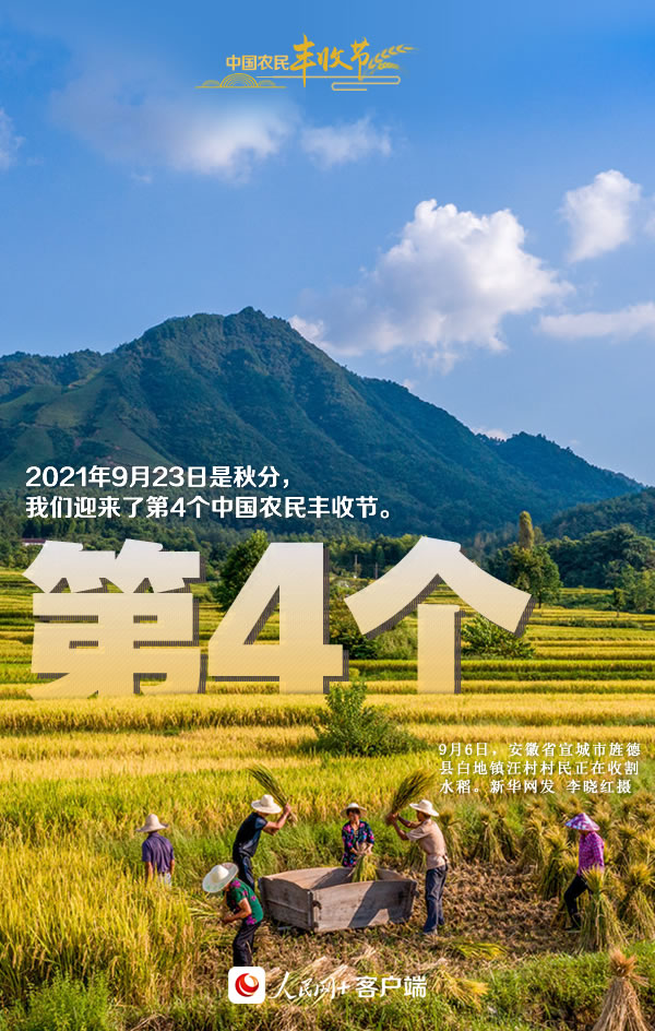 “丰”景如画庆佳节！