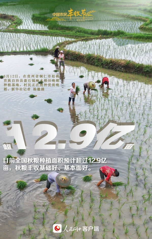 “丰”景如画庆佳节！