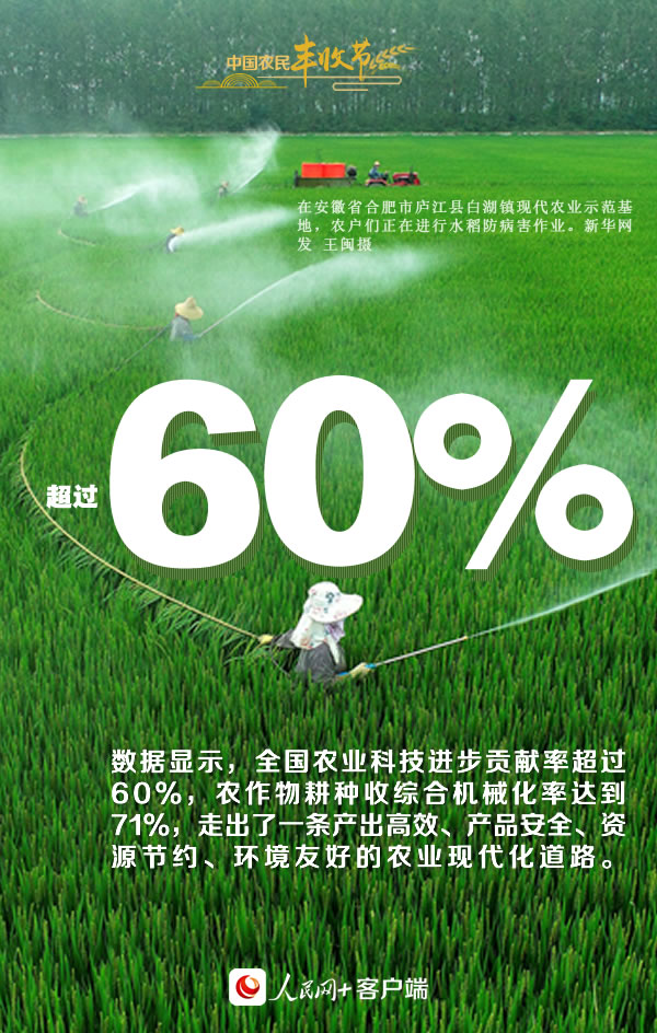 “丰”景如画庆佳节！