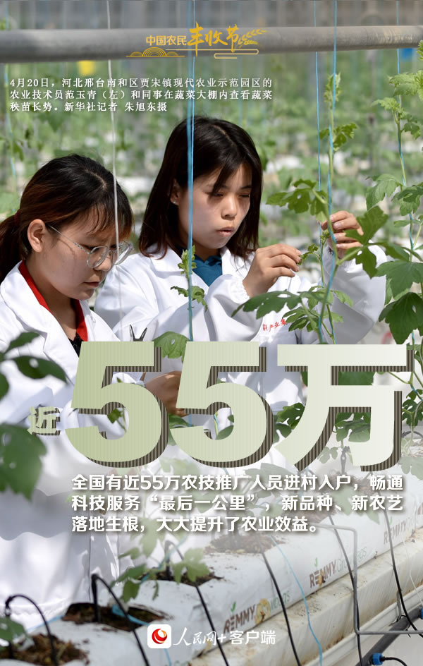 “丰”景如画庆佳节！