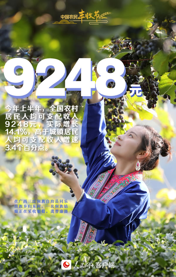 “丰”景如画庆佳节！