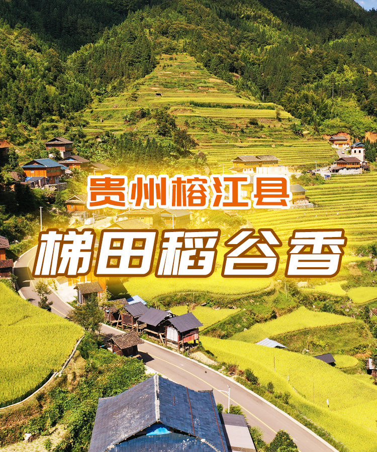 中国农民丰收节｜神农氏时空旅行图鉴