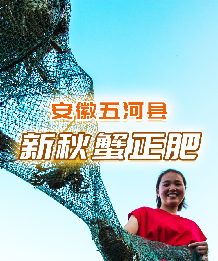 中国农民丰收节｜神农氏时空旅行图鉴