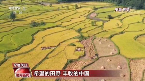 中国农业强不强？村民富不富？答案就在这希望的田野上