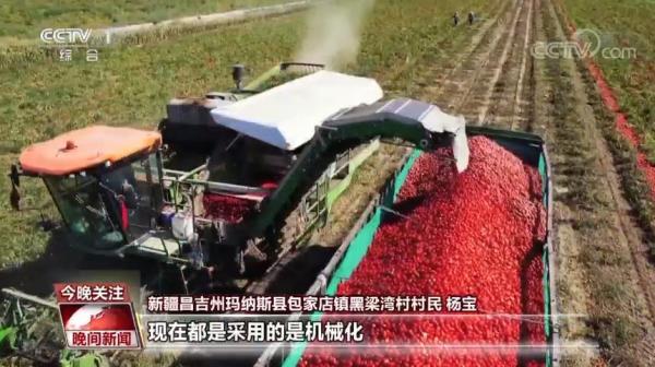 中国农业强不强？村民富不富？答案就在这希望的田野上