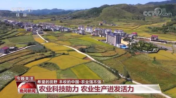 中国农业强不强？村民富不富？答案就在这希望的田野上
