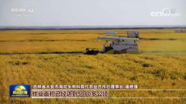 【在习近平新时代中国特色社会主义思想指引下】我国秋粮大面积开镰 农业科技现代化加快推进