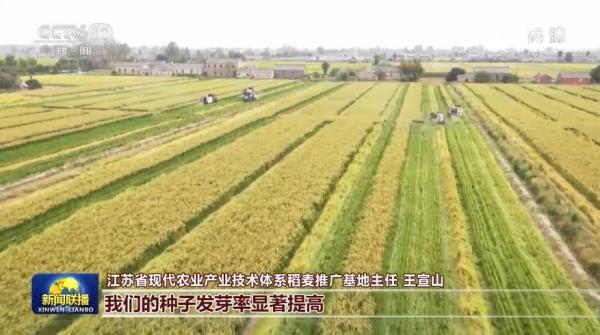 【在习近平新时代中国特色社会主义思想指引下】我国秋粮大面积开镰 农业科技现代化加快推进