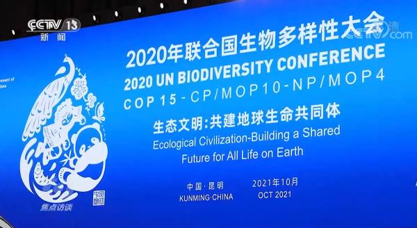 焦点访谈：COP15来了