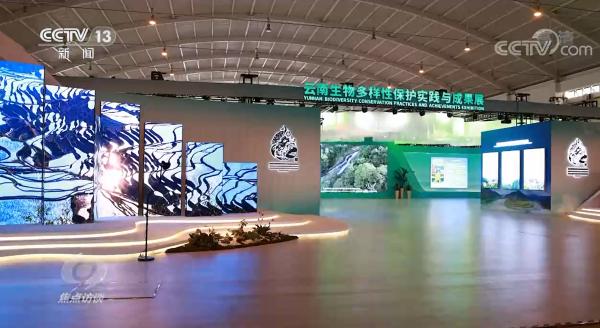 焦点访谈：COP15来了