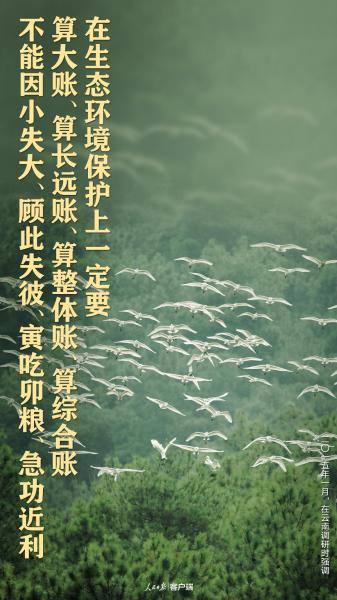 我们的共同家园｜生物多样性保护，习近平给出“中国方案”