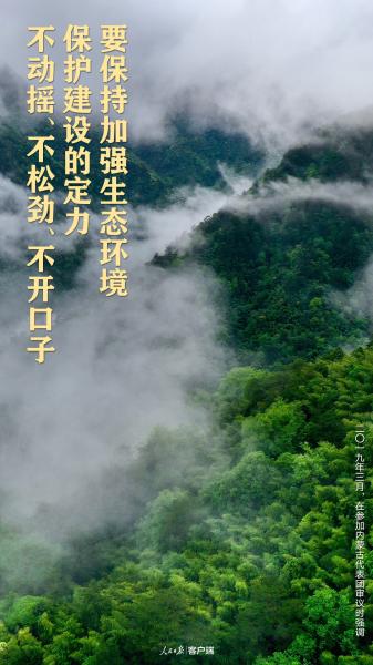 我们的共同家园｜生物多样性保护，习近平给出“中国方案”