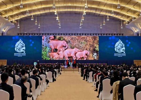 在春城开启人与自然新未来——《生物多样性公约》第十五次缔约方大会开幕式的五个瞬间