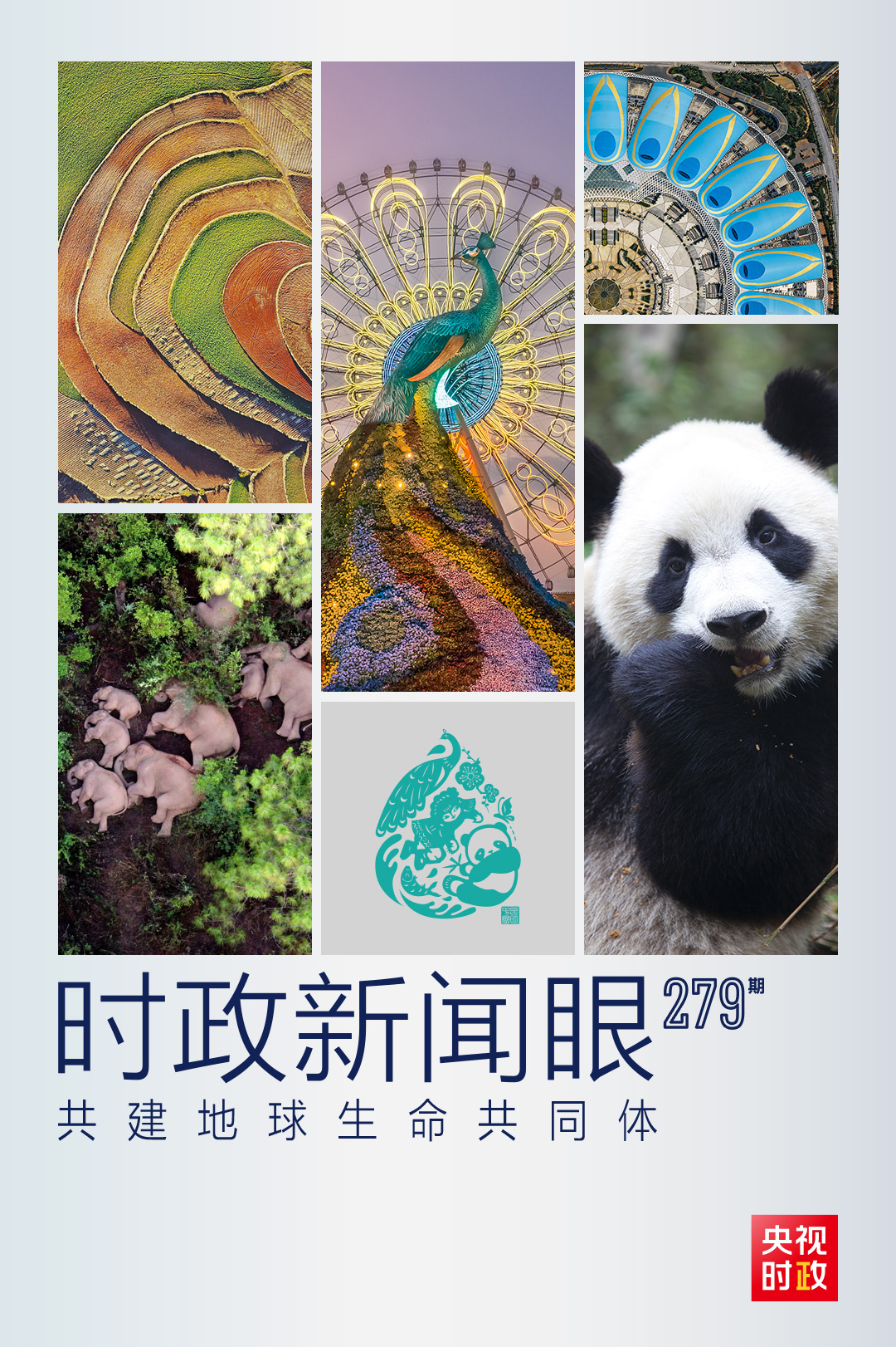 时政新闻眼丨在这场领导人峰会上，习近平阐述生物多样性保护的中国主张