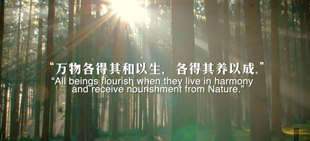 全球连线丨重磅微视频：和以生