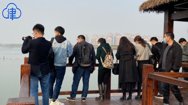 网络大V：天津生态绿屏，像极了《滕王阁序》秋水共长天一色的美景……
