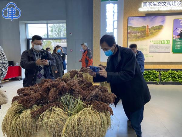 网络大V：天津生态绿屏，像极了《滕王阁序》秋水共长天一色的美景……